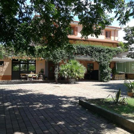 Guesthouse Skofije Ob Parenzani Spodnje Skofije Экстерьер фото